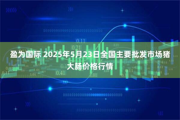 盈为国际 2025年5月23日全国主要批发市场猪大肠价格行情