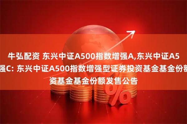 牛弘配资 东兴中证A500指数增强A,东兴中证A500指数增强C: 东兴中证A500指数增强型证券投资基金基金份额发售公告