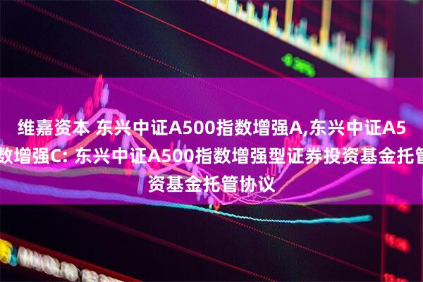 维嘉资本 东兴中证A500指数增强A,东兴中证A500指数增强C: 东兴中证A500指数增强型证券投资基金托管协议